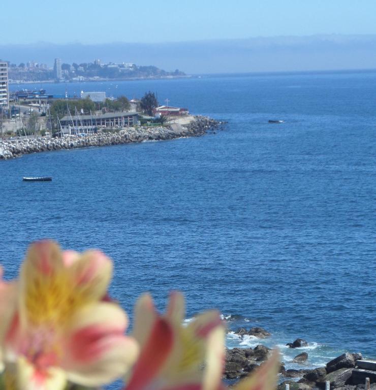 Domus Mare Hotel Vina del Mar Camera foto